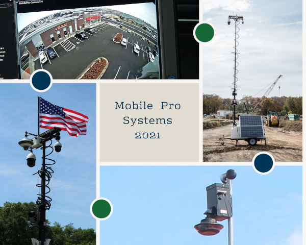 Year of the Crime-Fighting Video