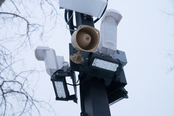 Better than the grapevine