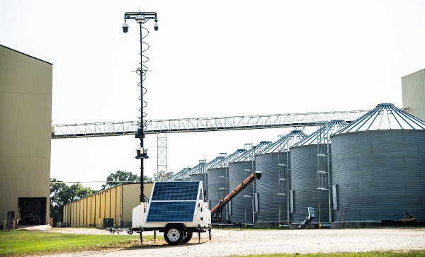 No easy pickings here